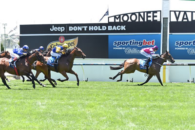 ROYAL SNITZEL BACK WITH A VENGEANCE AT MV..